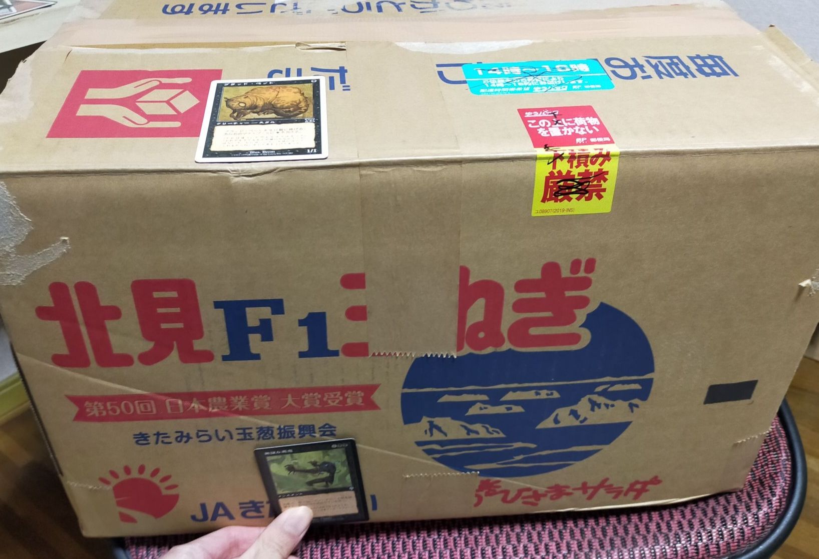 MTG旧枠まとめ　断捨離 MTG】「カードを買うのは売ってから」という自分ルール（遠足のおやつ