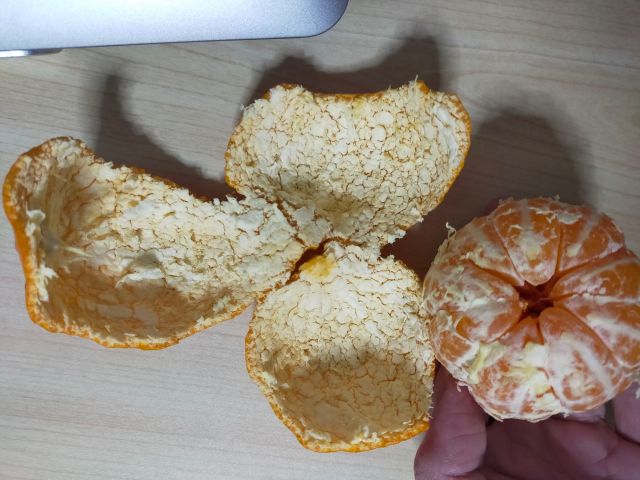 【ネタ画像?】いつもどおりの年越しと、いつもどおりの新年(みかんの皮はビリビリ千切るのではなく、繋げて一発で剥きたい派)。 – 物書きそん ...