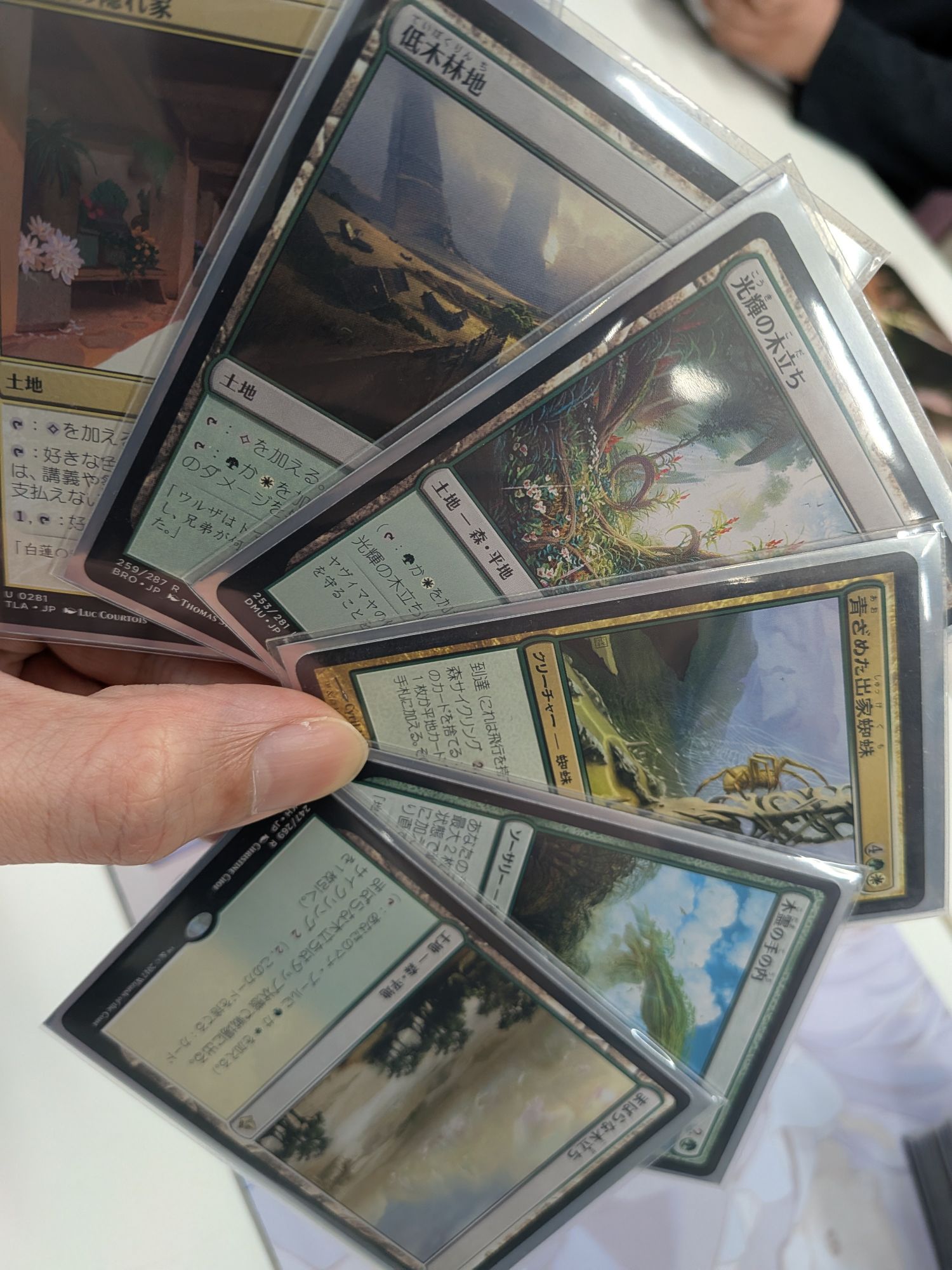 EDH生命起源の御神体は楽しい（10点回復、5点火力、リアニメイト