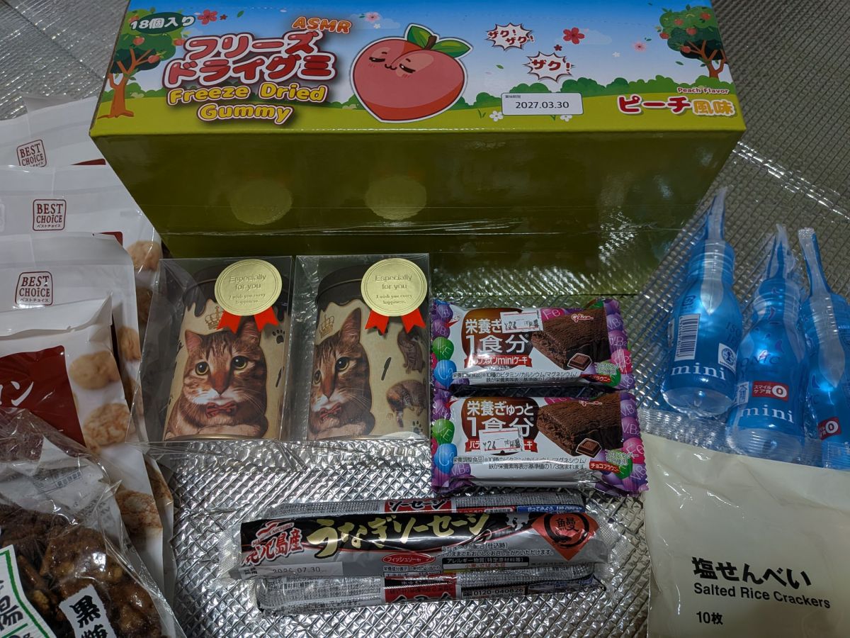 【ただの日記】サイクリングとリサイクルショップ巡り（さびれたゲームコーナー、古い玩具、うなぎソーセージなど）【ネタ画像】